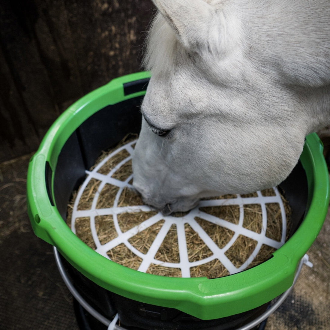 The Forager: Science Borne Out in the Stable