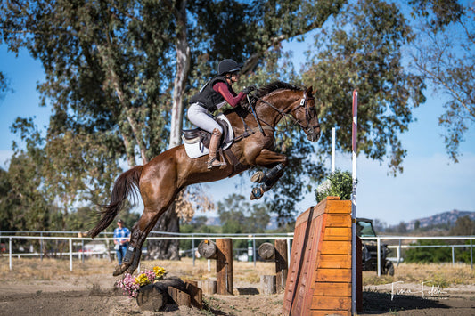 Steamed Hay helps three horses with three different health challenges.