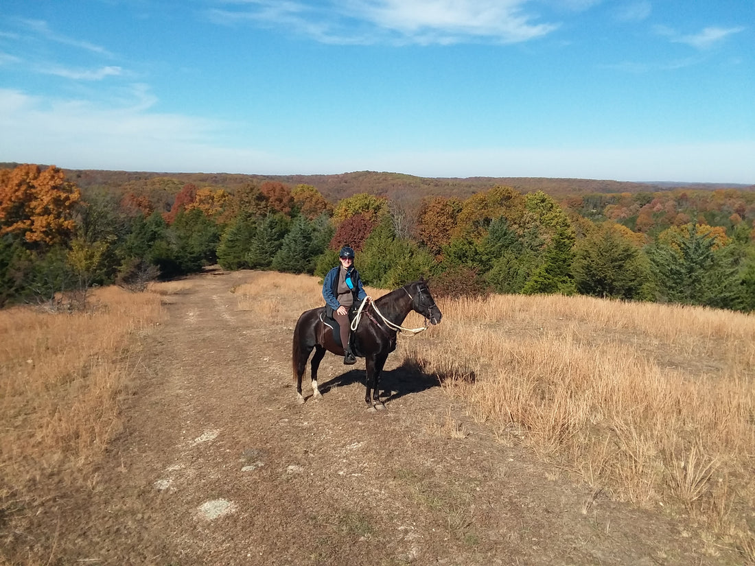 Grateful for Daily Stories about Horses’ Good Health