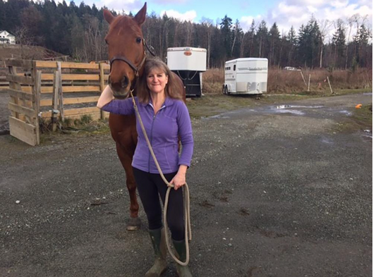 Haygain Hay Steamer, the revolutionary solution to equine asthma