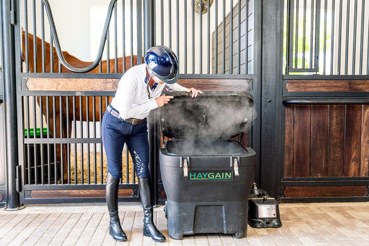 Hay -- Should I Steam or Should I Soak?